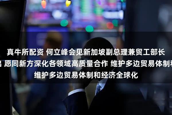 真牛所配资 何立峰会见新加坡副总理兼贸工部长颜金勇时指出 愿同新方深化各领域高质量合作 维护多边贸易体制和经济全球化