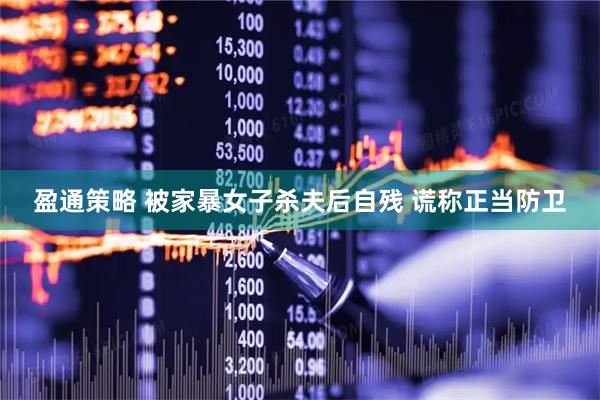 盈通策略 被家暴女子杀夫后自残 谎称正当防卫