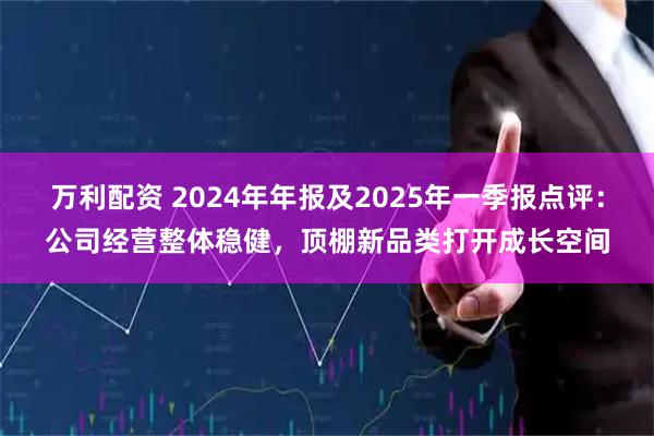 万利配资 2024年年报及2025年一季报点评:公司经营整体稳健,顶棚新品类打开成长空间