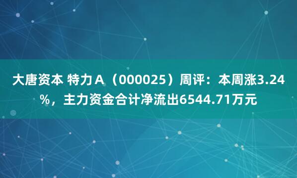 大唐资本 特力A(000025)周评:本周涨3.24%,主力资金合计净流出6544.71万元