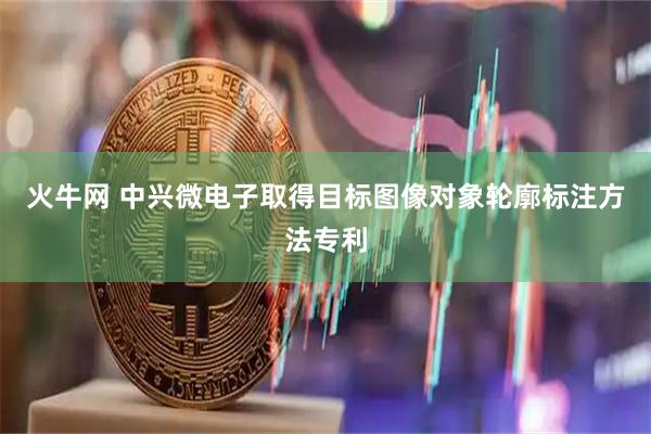 火牛网 中兴微电子取得目标图像对象轮廓标注方法专利