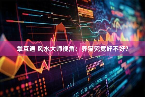 掌互通 风水大师视角：养猫究竟好不好？