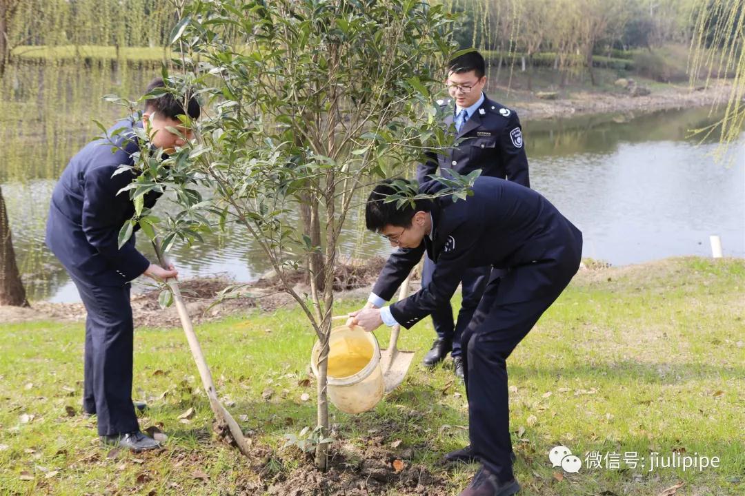 20190315172609_305 PP王者电子(PP)官方网站 - 正版试玩平台